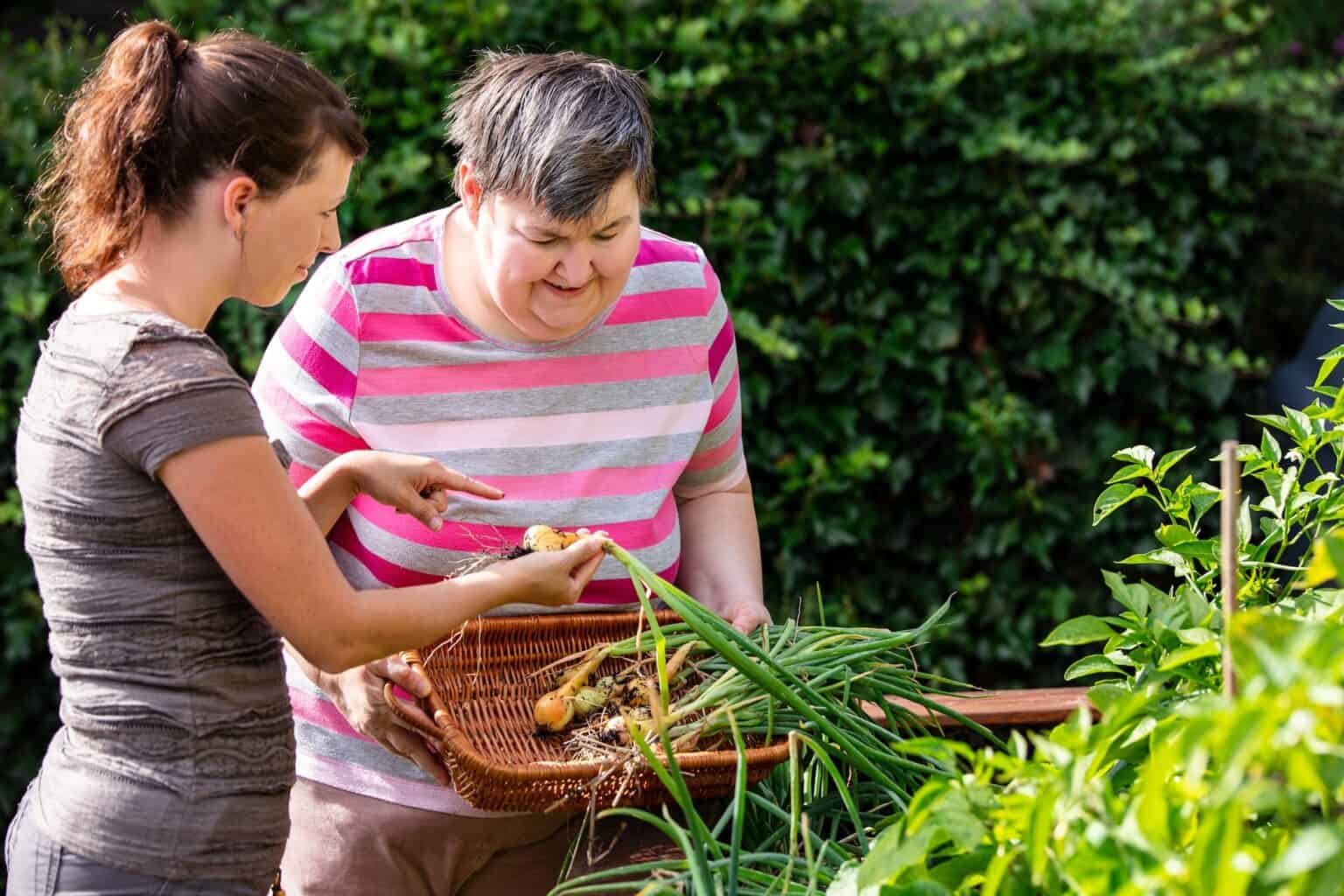 A caregiver teaching a mentally handicapped woman how to harvest onions from a raised bed.